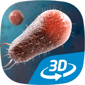 Bacteria interactive educational VR 3D icon