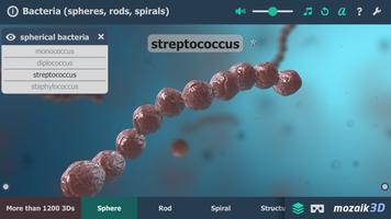 پوستر Bacteria interactive educational VR 3D