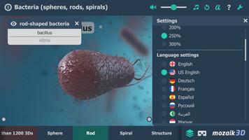 Les bactéries, 3D éducative interactive, VR capture d'écran 1