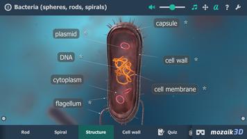 Bacteria interactive educational VR 3D syot layar 2