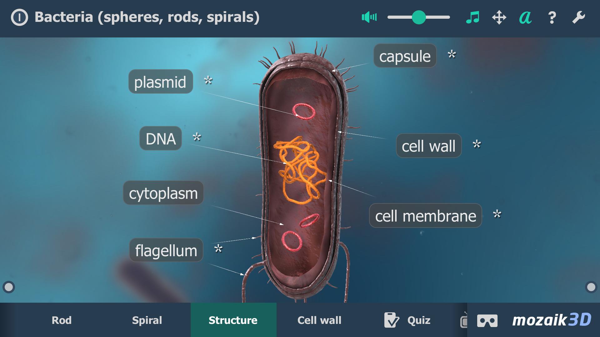 Играть бактерия 3. Бактерии интерактивные образовательные VR 3d. Бактерии 3d. Бактерия 3д приложения. Игра про жизнь бактерии.