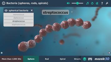 Bacteria interactive educational VR 3D bài đăng