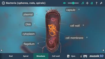 Bacteria interactive educational VR 3D ảnh chụp màn hình 2