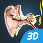 Het oor en het gehoor 3D-icoon