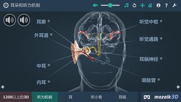 耳朵和听力机制 海报