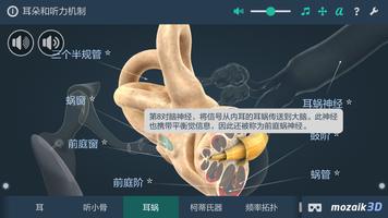 耳朵和听力机制 截图 2