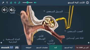 الأذن و آلية السمع 3د تصوير الشاشة 1