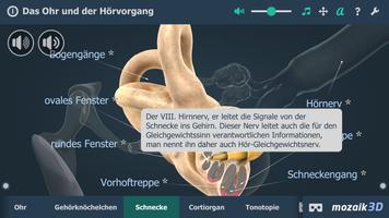 Øret og hørselmekanismen 3D Screenshot 3