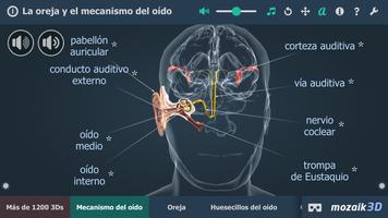 El oído humano en 3D Poster
