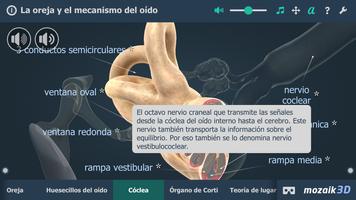El oído humano en 3D captura de pantalla 3