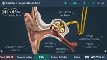 1 Schermata L’udito umano in 3D