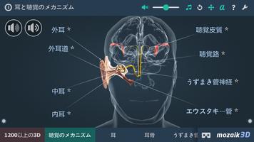 聴覚教育VR3Dの仕組み ポスター