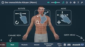 Menschlicher Körper (Mann) 3D Plakat