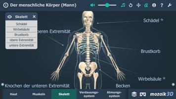 Menschlicher Körper (Mann) 3D Screenshot 2