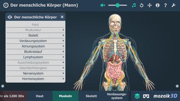 Menschlicher Körper (Mann) 3D Screenshot 3