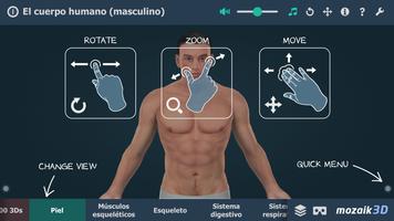 El cuerpo humano en 3D Poster
