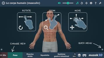 Le corps humain en 3D Affiche