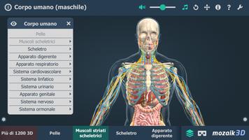 3 Schermata Corpo umano (maschile) in 3D