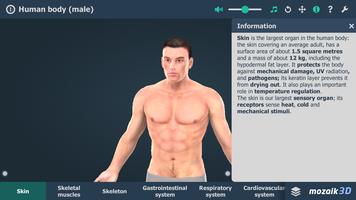 Human body (male) 3D scene پوسٹر