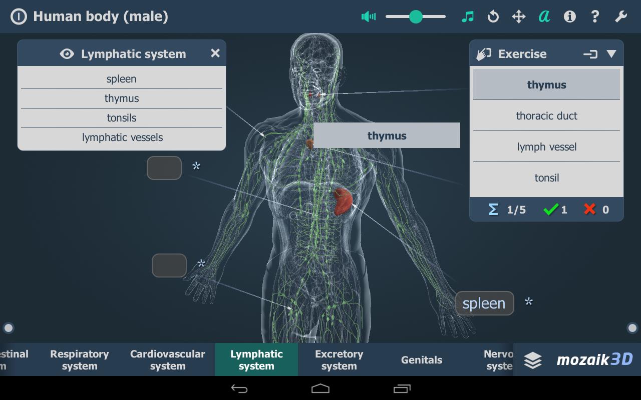 Программа человек 3 класс 2 вариант. Human body Educational VR Гикер. The body VR О приложении. Андроид вр600. Human.