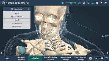 Human body (male) 3D scene اسکرین شاٹ 1