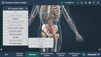 Human body (male) 3D scene اسکرین شاٹ 2