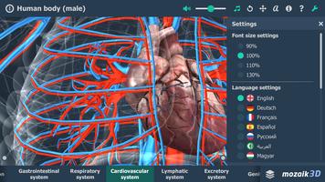 Human body (male) 3D scene اسکرین شاٹ 3