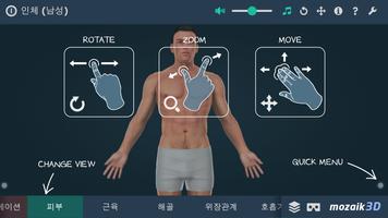 인체 (남성) 포스터