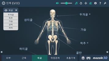 인체 (남성) 스크린샷 2