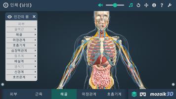 인체 (남성) 스크린샷 3