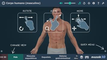 Corpo humano (masculino) 3D Cartaz