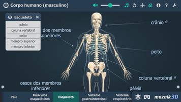 Corpo humano (masculino) 3D imagem de tela 2