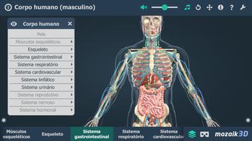 Corpo humano (masculino) 3D imagem de tela 3