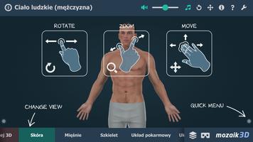 Ciało ludzkie (mężczyzna) 3D plakat