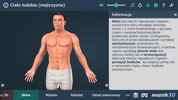 Ciało ludzkie (mężczyzna) 3D screenshot 1