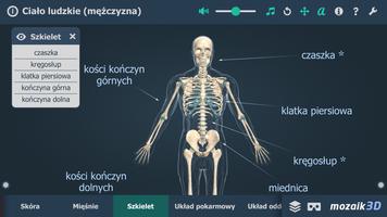 Ciało ludzkie (mężczyzna) 3D screenshot 2