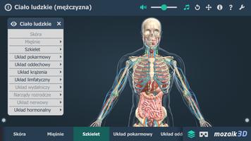 Ciało ludzkie (mężczyzna) 3D screenshot 3
