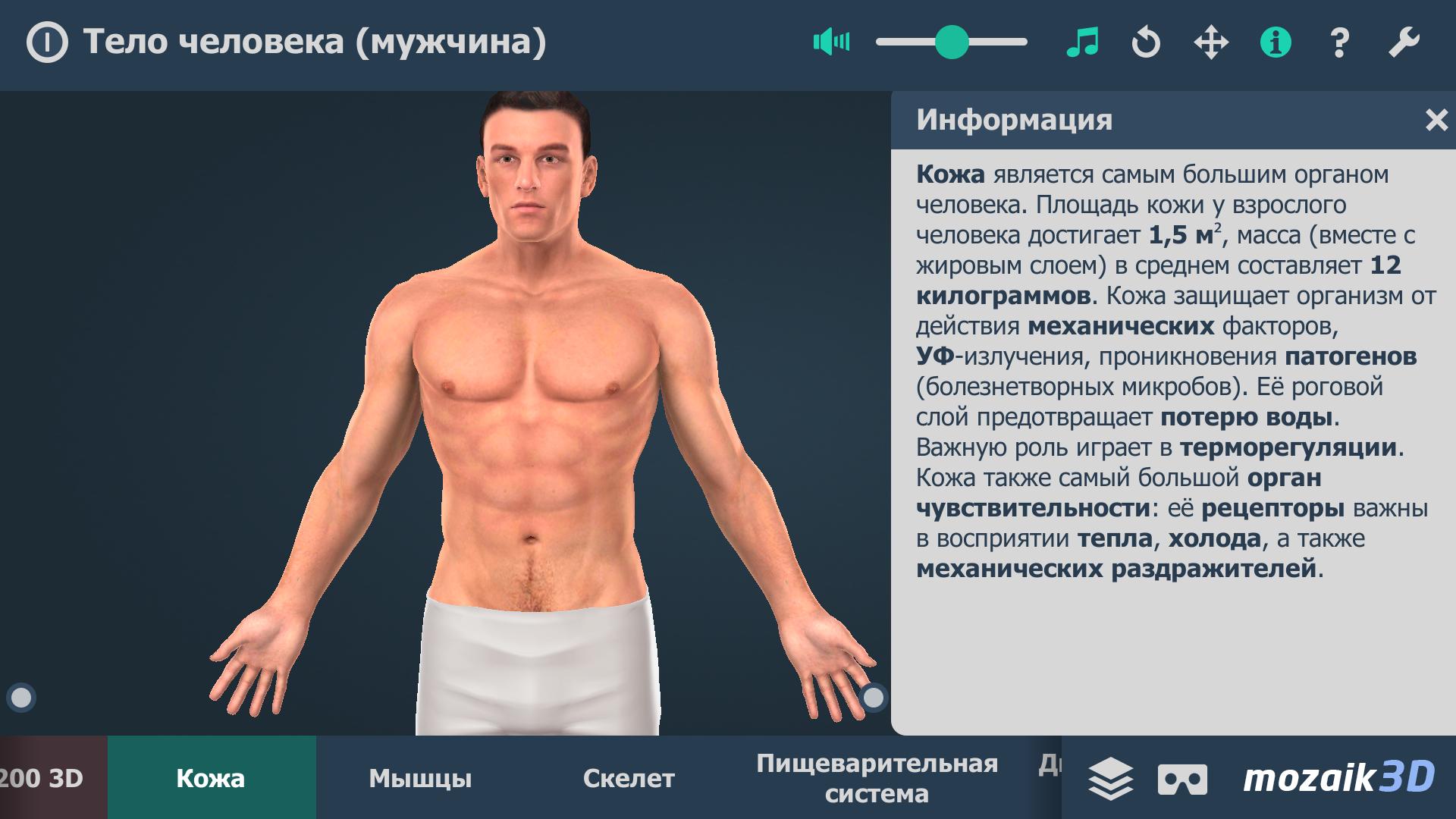 Игра на теле человека