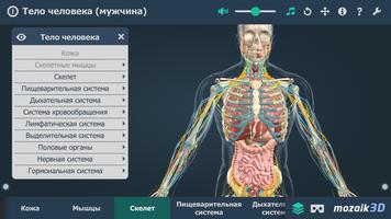 Тело человека (мужчина) 3D ВР скриншот 3