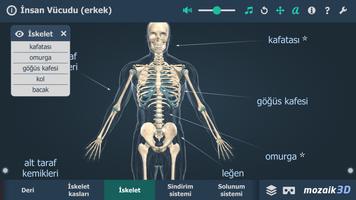 İnsan Vücudu (erkek) 3B Ekran Görüntüsü 2