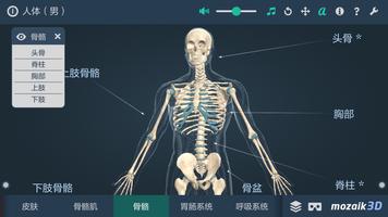 人体教育用VR 3D映像（男性） 截图 2