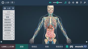 人体教育用VR 3D映像（男性） 截图 3
