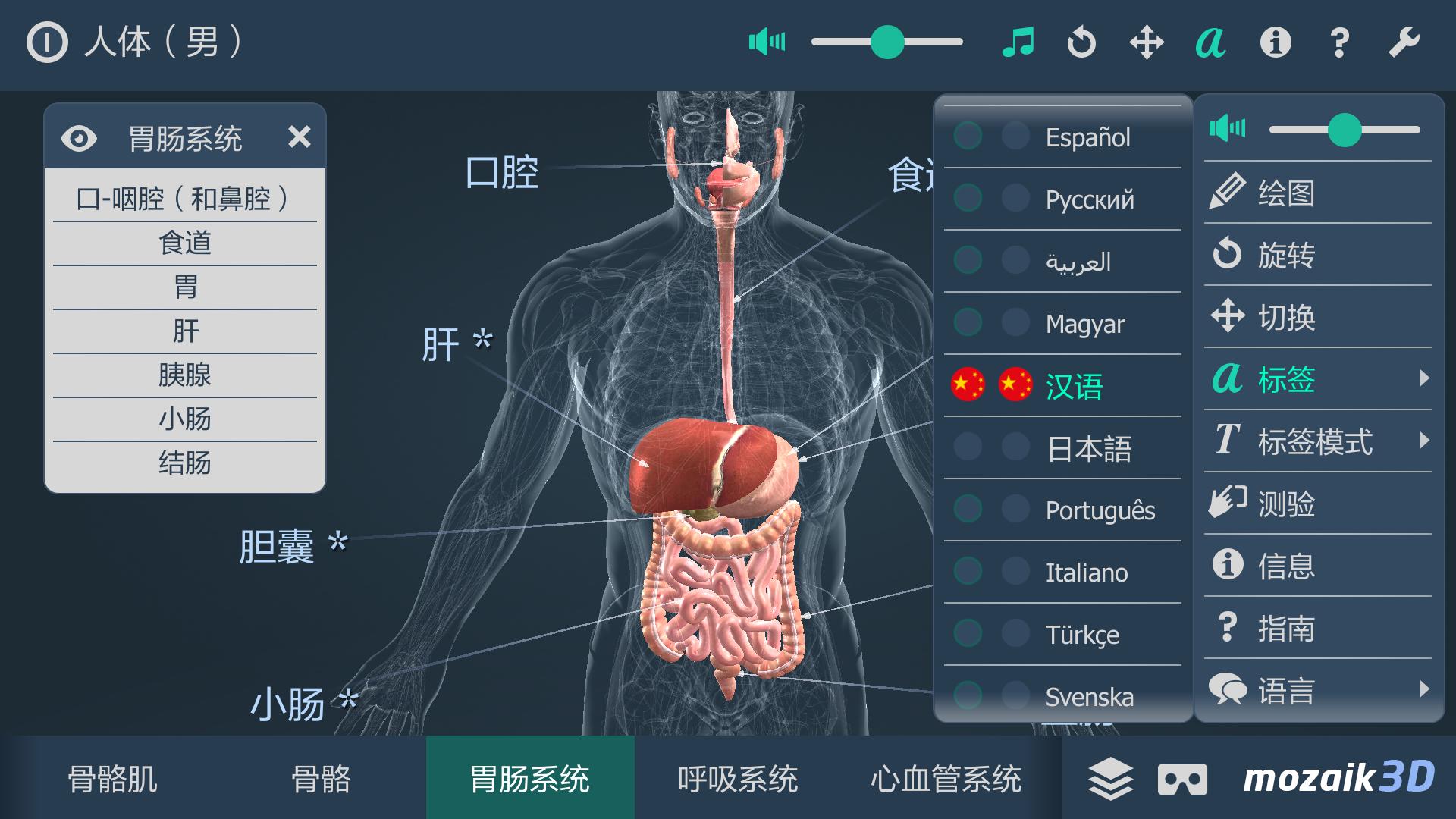 人体 男 互动教育3d安卓下载 安卓版apk 免费下载