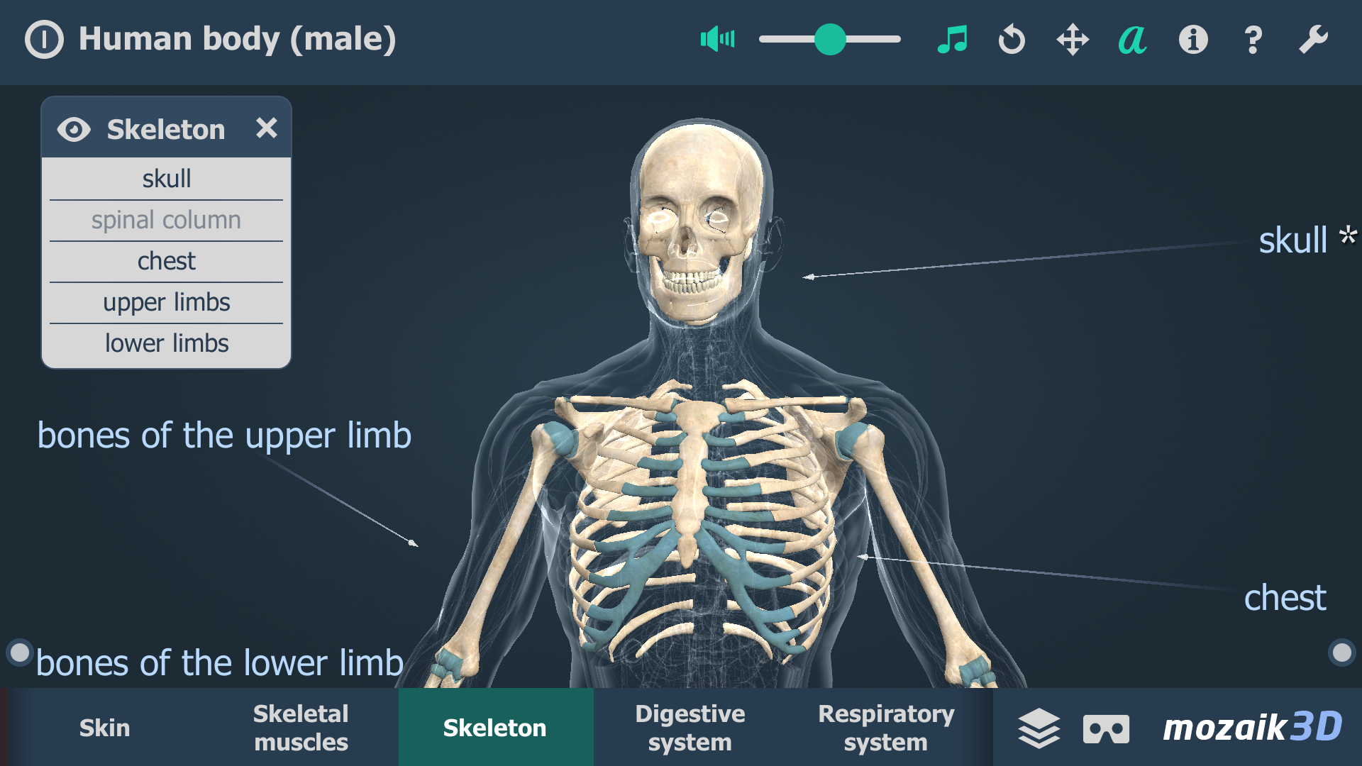 Human body (male) 3D scene APK 1.30 for Android – Download Human body (male)  3D scene XAPK (APK Bundle) Latest Version from APKFab.com