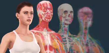 Human body (female) educational VR 3D