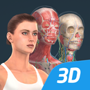 Ciało ludzkie (kobieta) edukacja 3D VR aplikacja