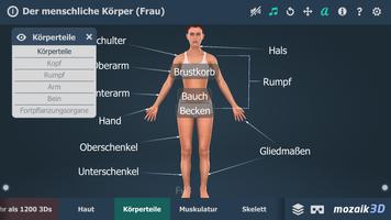Der menschliche Körper (Frau) Bildungs-3D VR Screenshot 1