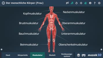 Der menschliche Körper (Frau) Bildungs-3D VR Screenshot 2