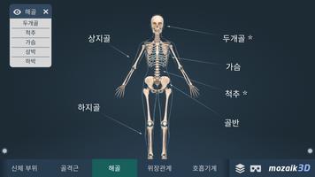 인체 (여성)대화식 교육적 3D 스크린샷 2