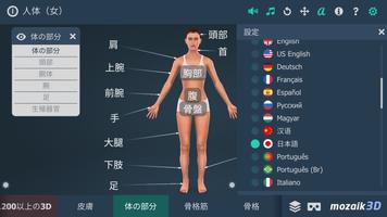 人体 (女)インタラクティブな教育用3D ポスター
